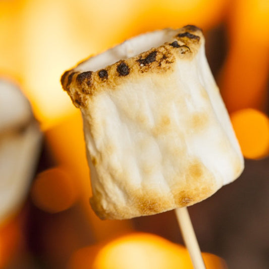 FIRE ROASTED MARSH MALLOW COCONUT-SOY WAX MELTS